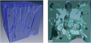 A two panel figure showing semi-transparent three-dimensional volume renderings of the reconstructed cortical bone cubes.