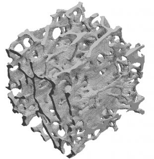 A figure showing a bone cube mesh created from micro CT scan data. 